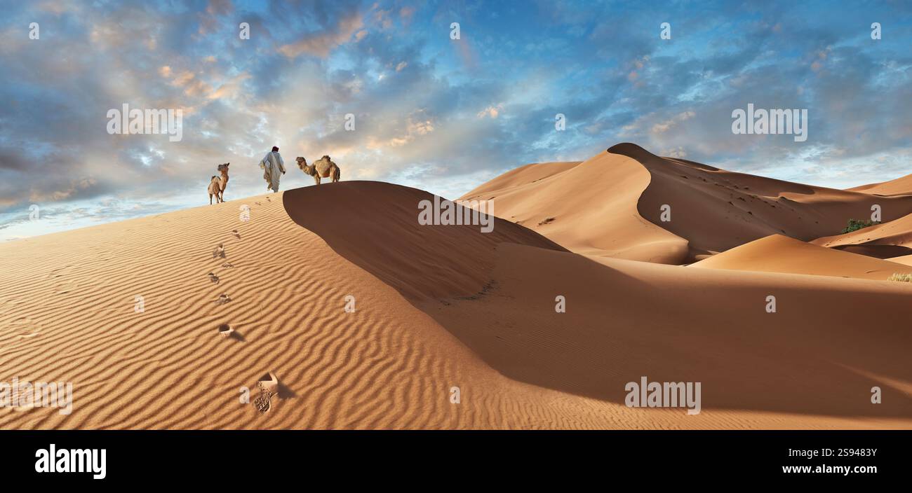 Mann spaziert in den wunderschönen Erg Chebbi Saharah Sanddünen, Sahara, Marokko bei Sonnenaufgang Panoramablick Landschaft Stockfoto