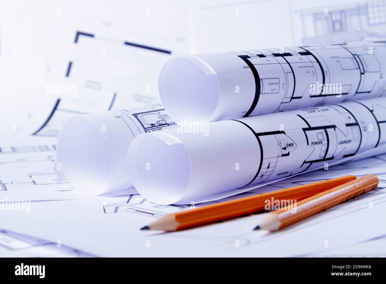 Bauplan. Schaltplanzeichnung in einer Rolle zusammengefasst. Hausrenovierungsplanung... Stockfoto