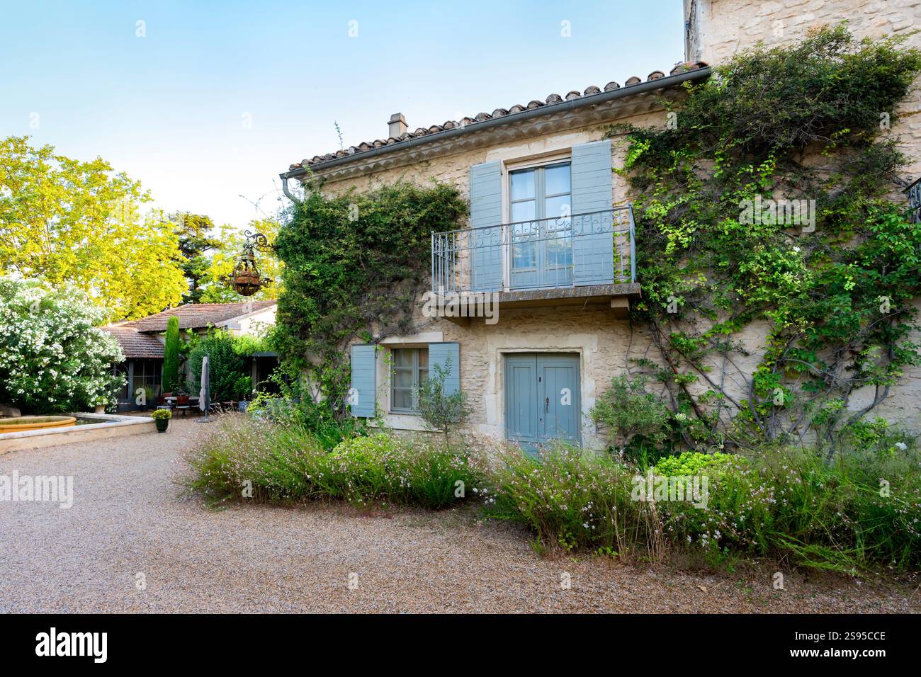 Traditionelle Steingebäude mit bemalten Fensterläden, Eisengeländern, Blumen und Weinstöcken an den Wänden, St. Remy, Provence, Frankreich Stockfoto