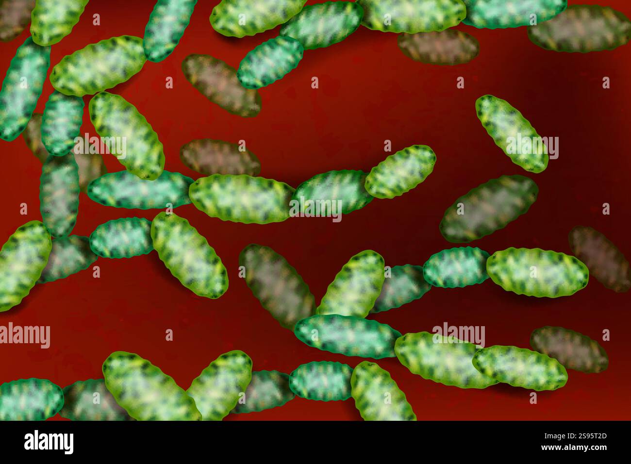 Wissenschaftliche Darstellung von Haemophilus influenzae unter dem Mikroskop. Detaillierte Darstellung Von Haemophilus-Influenzae-Bakterien Stock Vektor