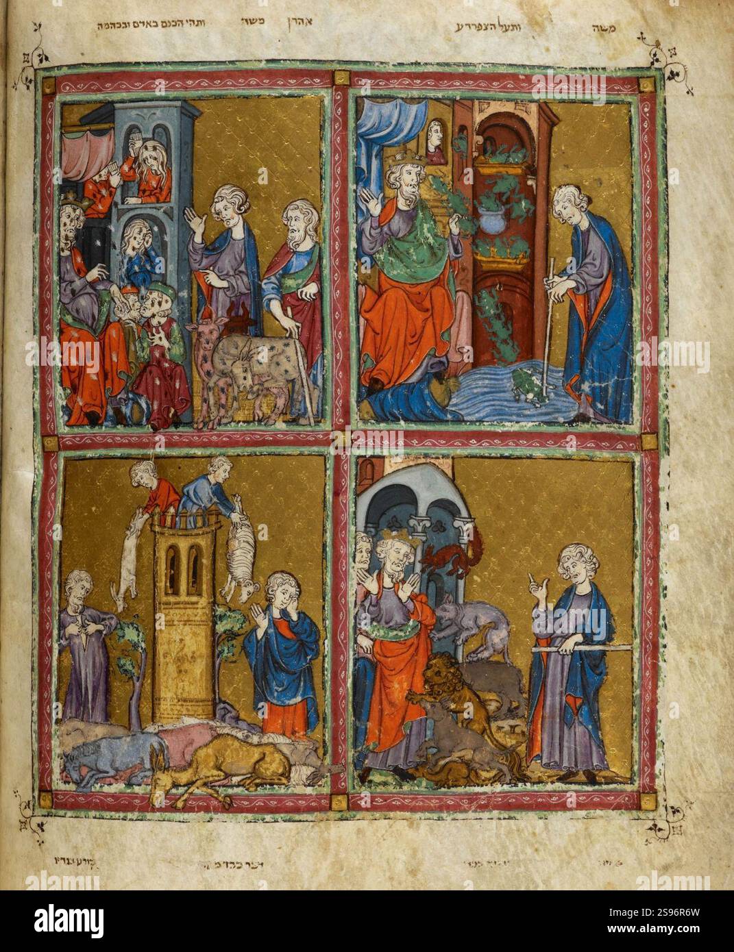 Goldene Haggada - die Plagen Ägyptens. Stockfoto