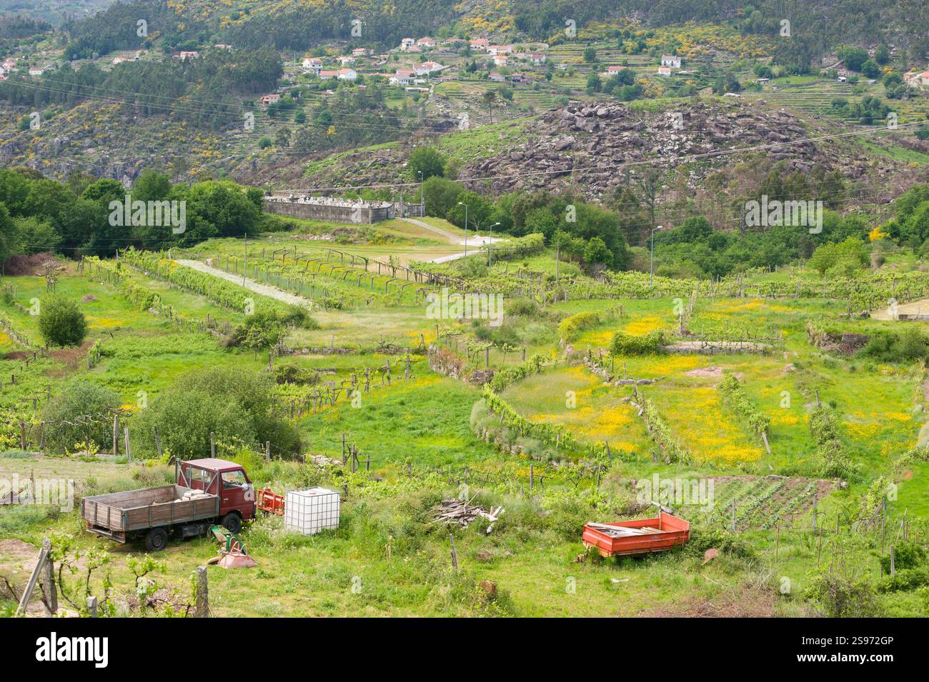 Terrassenfelder und ländliche Landschaft im Peneda-Geres-Nationalpark, Portugal Stockfoto