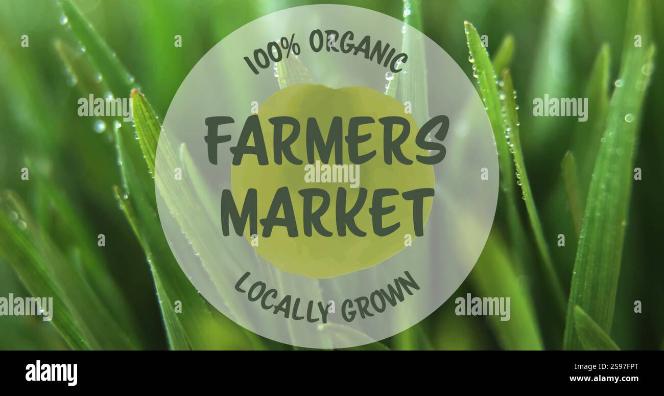 100 Prozent der Bauern aus ökologischem Anbau und lokal angebautem Anbau vermarkten über die Nahaufnahme von taufem Gras Stockfoto