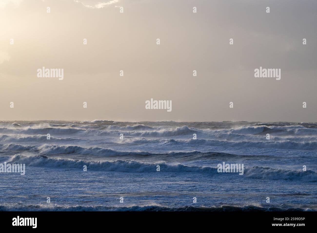 Owenahincha, West Cork, Irland. Januar 2025. Sturm Eowyn hat Irland heute mit einer Met Eireann Red Weather Warning für Wind für das ganze Land getroffen. Riesige Wellen in Owenahincha. Quelle: AG News/Alamy Live News. Stockfoto