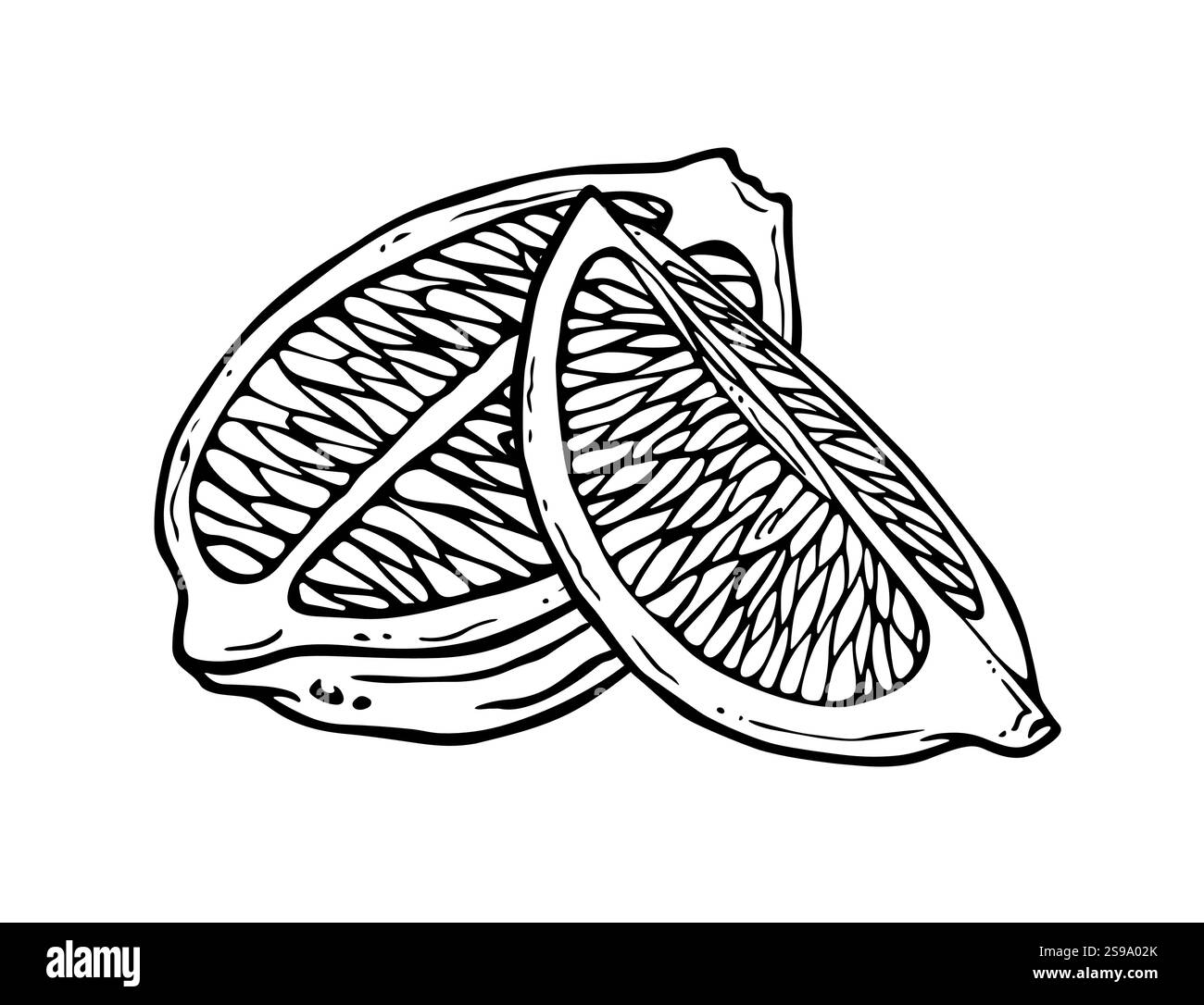 Zitrusfrüchte. Umreißen Sie Zitronenscheiben oder Limettenscheiben. Schwarz-weiß geschnittenes Zitron. Isolierte Zusammensetzung mit halb- und Viertelanteil Zitrusfrucht in Ätzform Stock Vektor
