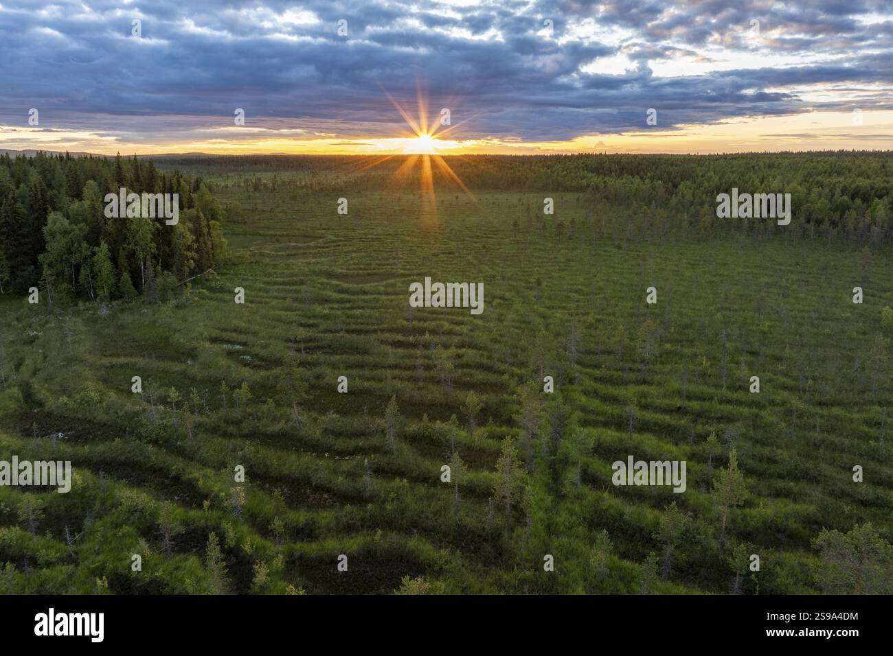 Feuchtgebiet in Lappland, Mitternachtssonne, Sumpf, Muonio, Finnland, Europa Stockfoto