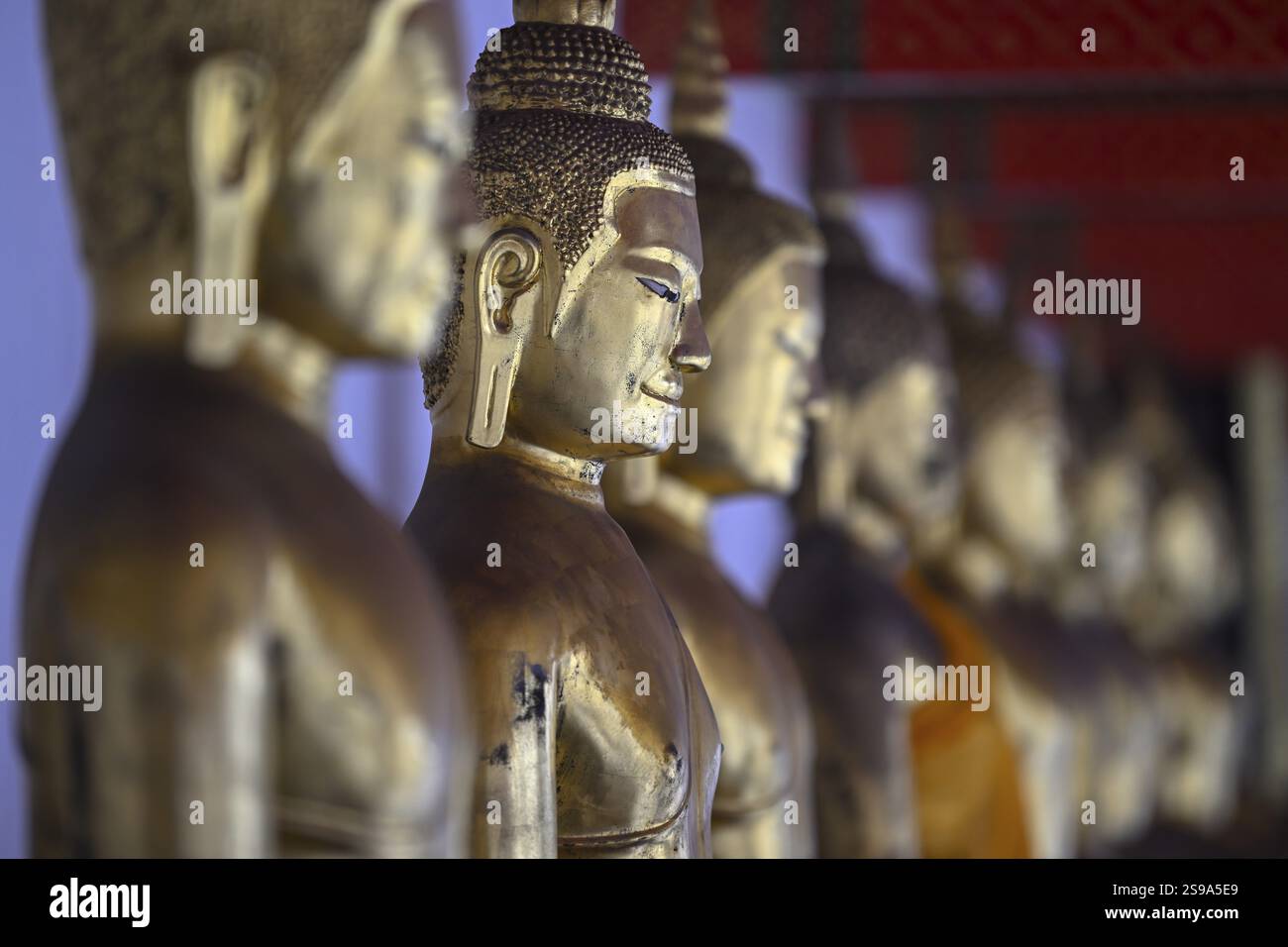 Vergoldete Buddha-Statuen im Wat Pho, Tempel des liegenden Buddha, Bangkok, Thailand, Asien Stockfoto