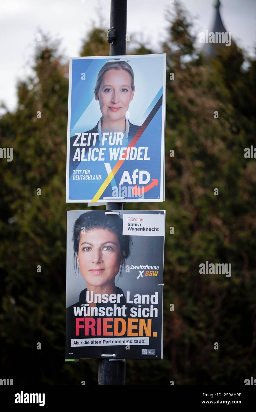 Wahlplakate zur Bundestagswahl von AFD und BSW mit den ...