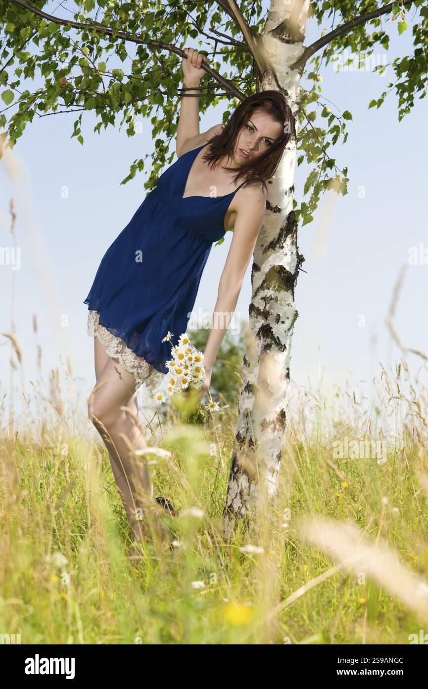 Porträt der schönen Frau bei der Birke. Sommerwiese, ST. Petersburg, Russland, Europa Stockfoto