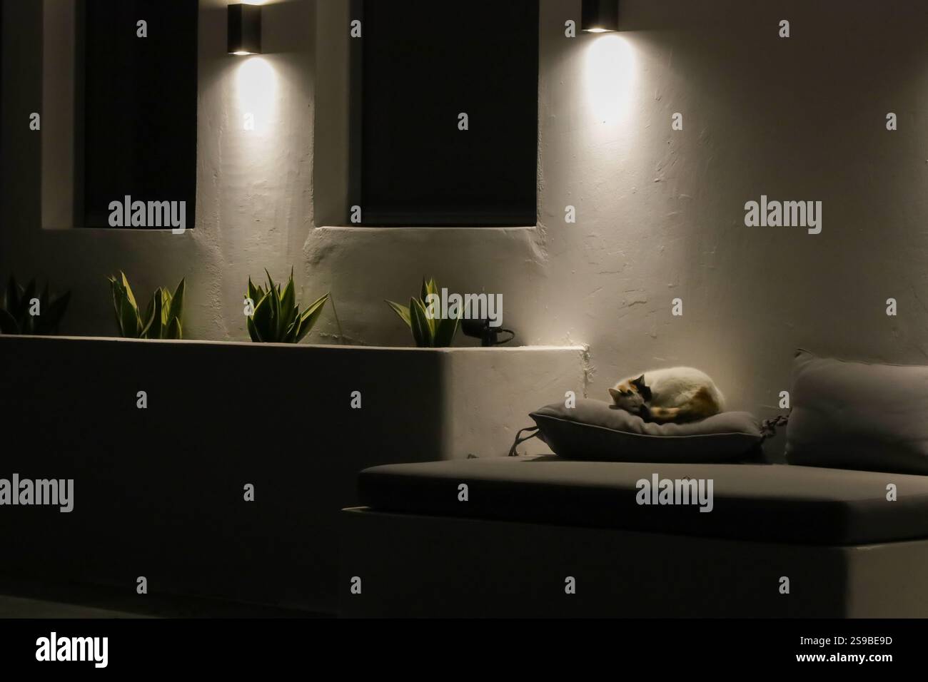 Eine friedliche Szene im Freien bei Nacht mit einem minimalistischen Sitzbereich, der von weichen Wandleuchten beleuchtet wird. Eine weiße und orangene Katze ruht friedlich Stockfoto