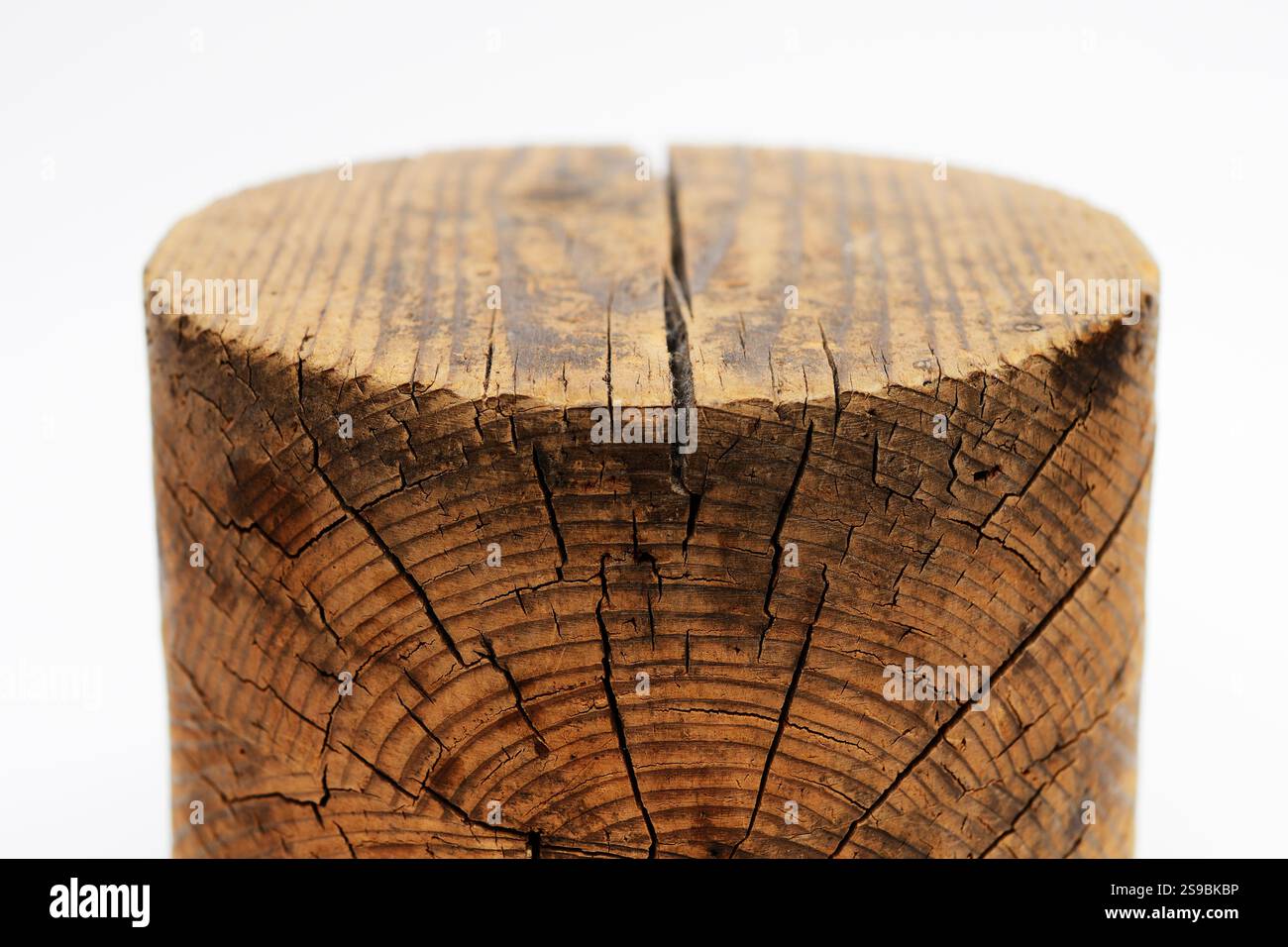 Alter Vintage Holzhutblock aus gerissenem Holz mit ausgeprägter Textur auf weißem Hintergrund Stockfoto