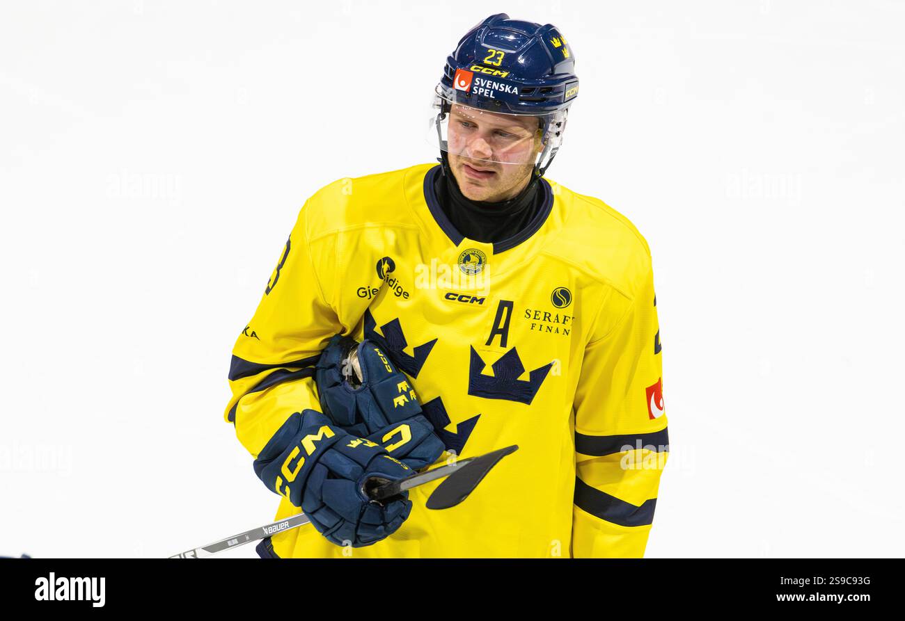 Fribourg, Schweiz, 14. Dezember 2024: #23 Lucas Wallmark, Stürmer der schwedischen Nationalmannschaft. (Foto: Andreas Haas/dieBildmanufaktur) Stockfoto Fribourg, Schweiz, 14. Dezember 2024: #23 Lucas Wallmark, Stürmer der schwedischen Nationalmannschaft. (Foto: Andreas Haas/dieBildmanufaktur) Stockfoto