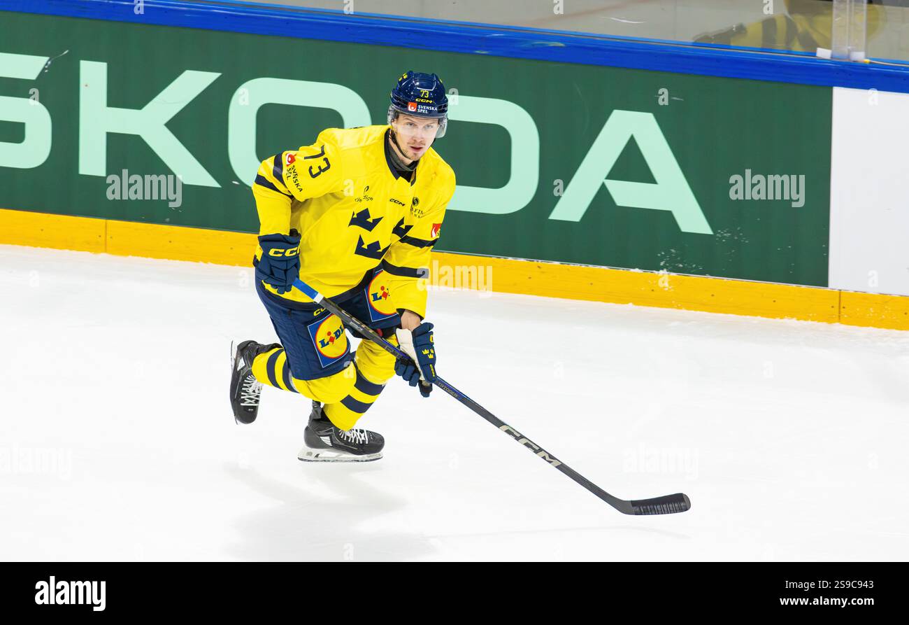 Fribourg, Schweiz, 14. Dezember 2024: #73 Adam Ollas Mattsson, Verteidiger der schwedischen Nationalmannschaft. (Foto: Andreas Haas/dieBildmanufaktur) Stockfoto Fribourg, Schweiz, 14. Dezember 2024: #73 Adam Ollas Mattsson, Verteidiger der schwedischen Nationalmannschaft. (Foto: Andreas Haas/dieBildmanufaktur) Stockfoto