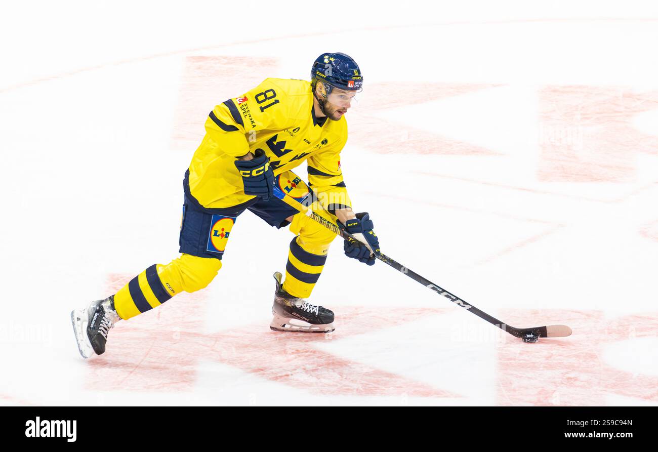 Fribourg, Schweiz, 14. Dezember 2024: #81 Theodor Lennstrom, Verteidiger der schwedischen Nationalmannschaft mit dem Puck. (Foto: Andreas Haas/dieBildmanufaktur) Stockfoto Fribourg, Schweiz, 14. Dezember 2024: #81 Theodor Lennstrom, Verteidiger der schwedischen Nationalmannschaft mit dem Puck. (Foto: Andreas Haas/dieBildmanufaktur) Stockfoto