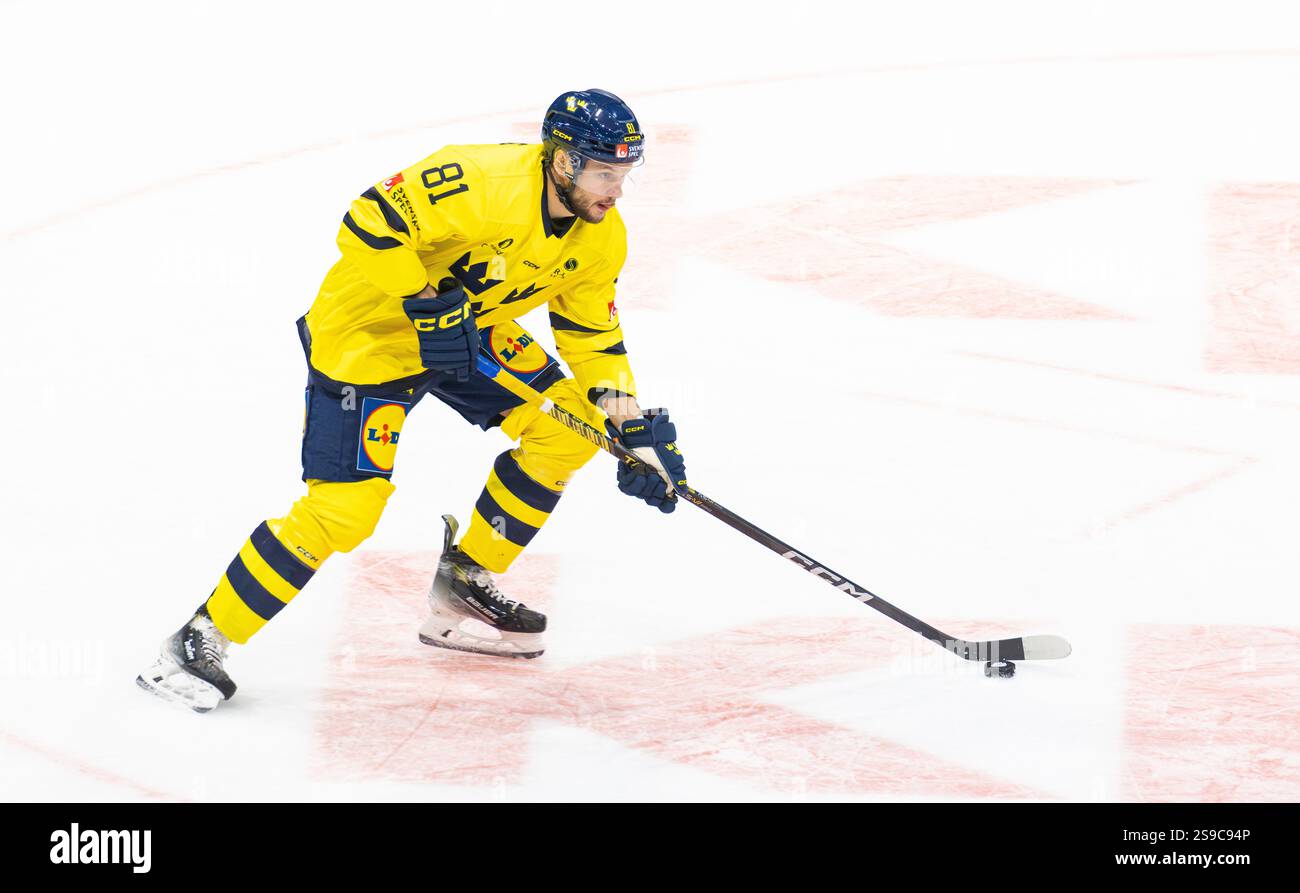Fribourg, Schweiz, 14. Dezember 2024: #81 Theodor Lennstrom, Verteidiger der schwedischen Nationalmannschaft mit dem Puck. (Foto: Andreas Haas/dieBildmanufaktur) Stockfoto Fribourg, Schweiz, 14. Dezember 2024: #81 Theodor Lennstrom, Verteidiger der schwedischen Nationalmannschaft mit dem Puck. (Foto: Andreas Haas/dieBildmanufaktur) Stockfoto