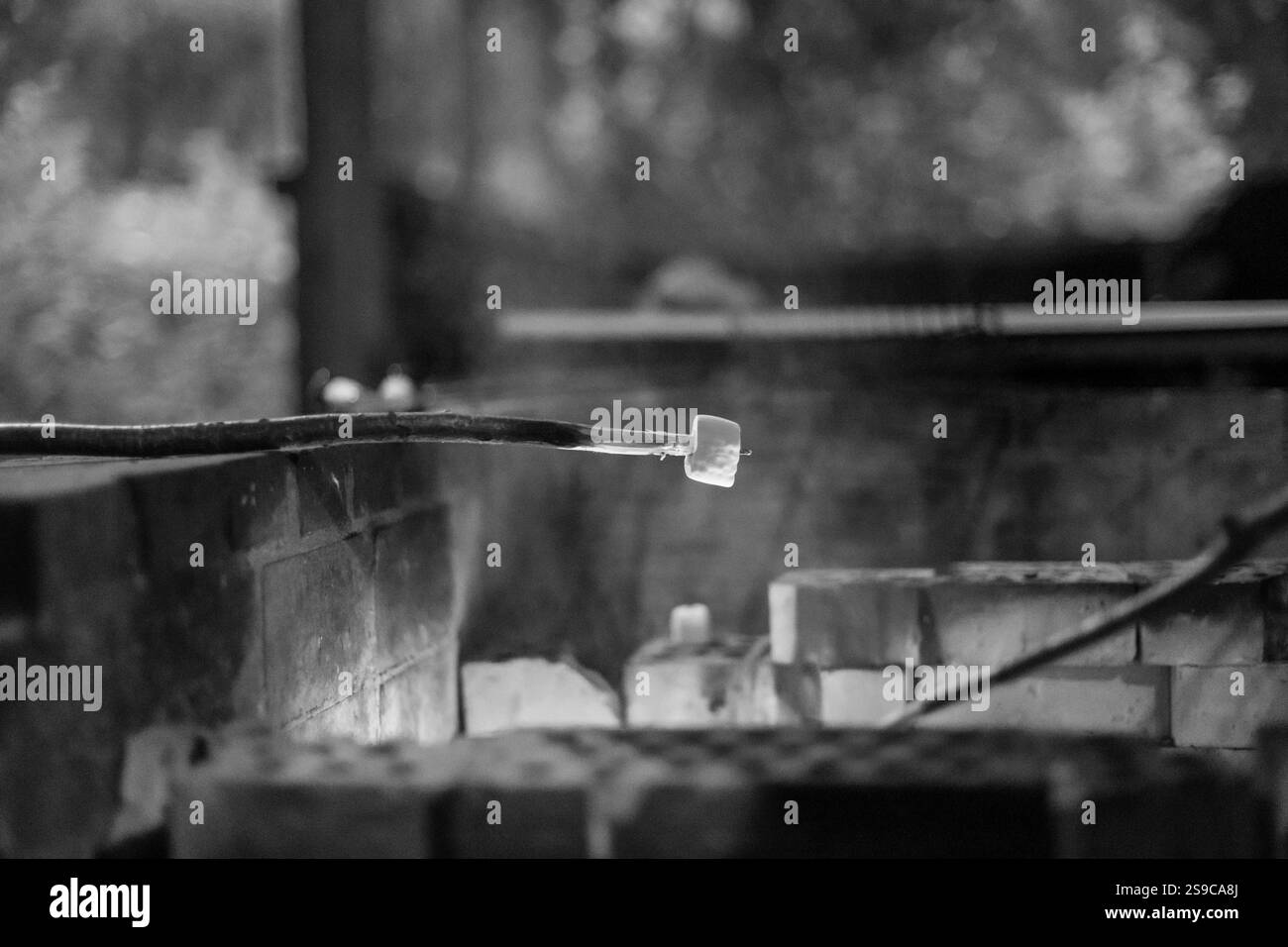 Bleib bei Marshmallow über einem Feuer Stockfoto