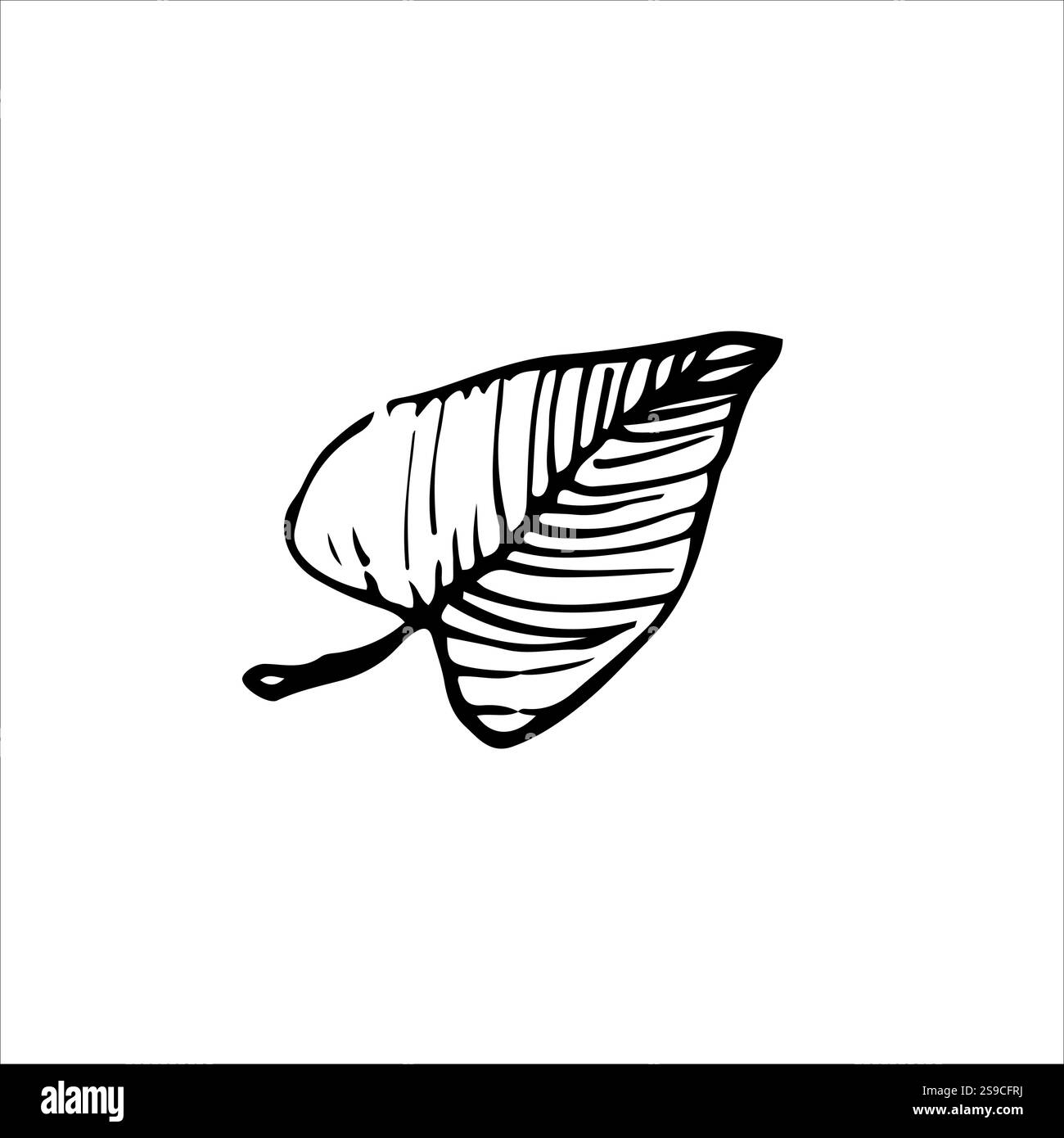 Minimalistische schwarz-weiße Blattzeichnung mit komplizierten Details. Ideal für botanische Kunst, herbstlich inspirierte Einrichtung oder elegante Naturdesigns Stock Vektor
