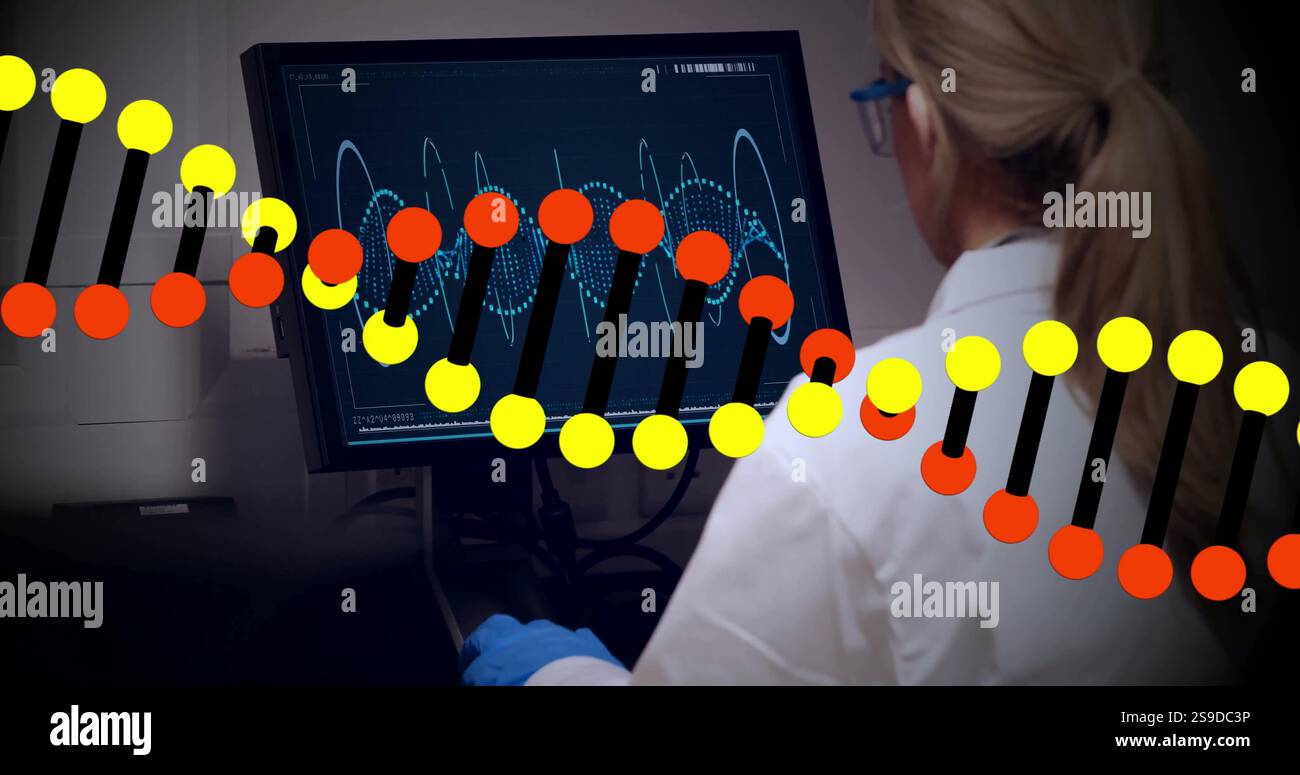DNA-Strangbild über Wissenschaftler, die Daten auf dem Computerbildschirm analysieren Stockfoto