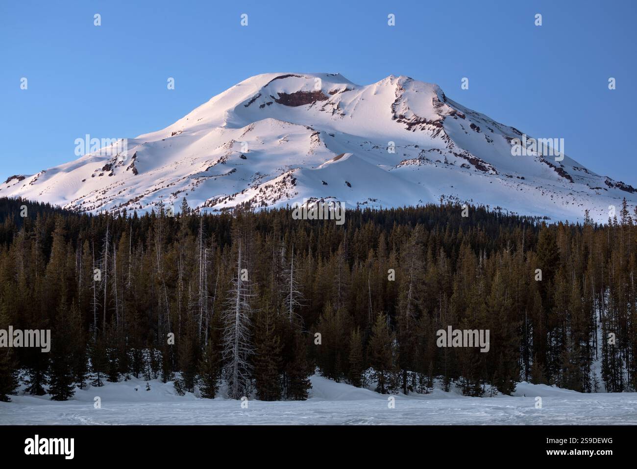 OR02686-00...... OREGON – Südschwester vom Cascade Lakes Highway aus gesehen, Deschutes National Forest. Stockfoto
