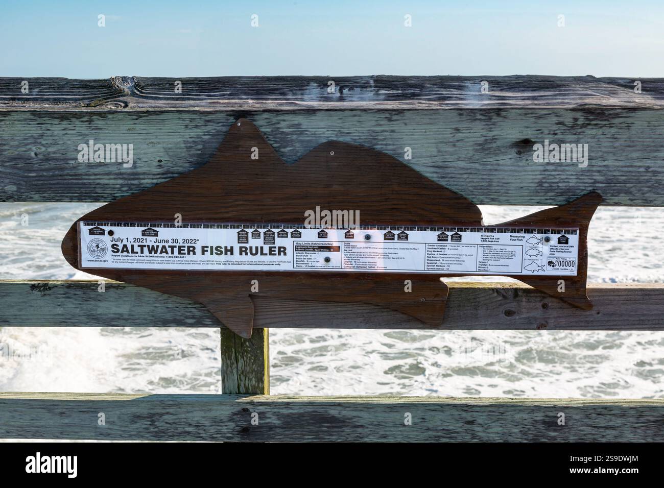 Dieses „Salzwater Fish Ruler“ wird vom SCDNR am Myrtle Beach State Park Pier angestellt, um die Fischer über die Regeln für die Größe eines Fisches zu informieren. Stockfoto