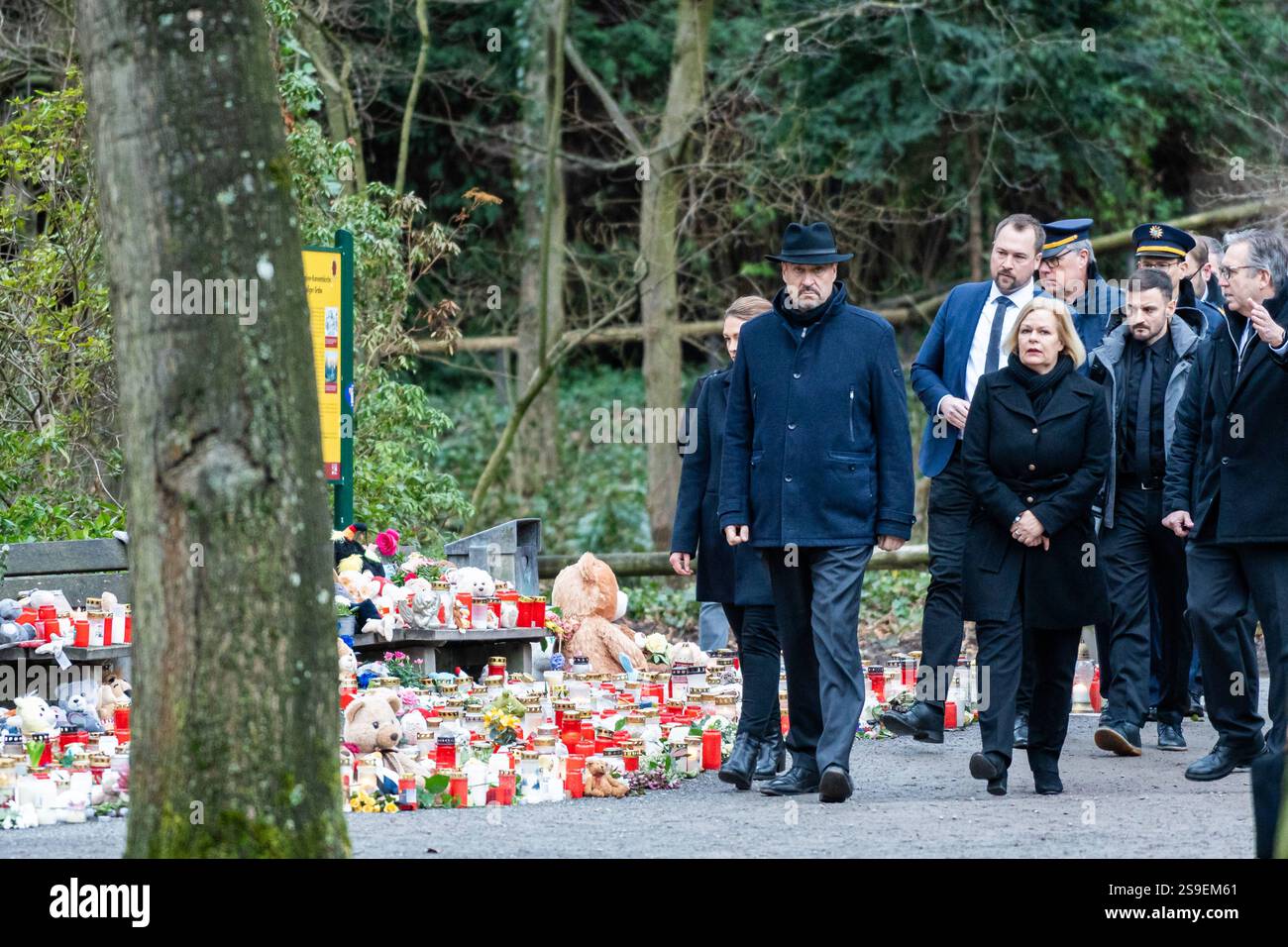 Aschaffenburg, Bayern, Deutschland - 26. Januar 2025