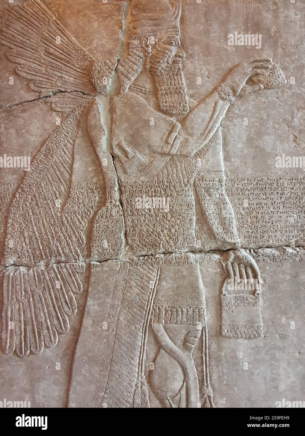 Ein gerissenes Mauerrelief in einer antiken mesopotamischen Tempelruine zeigt einen geflügelten und bärtigen assyrischen Kriegergott. Stockfoto