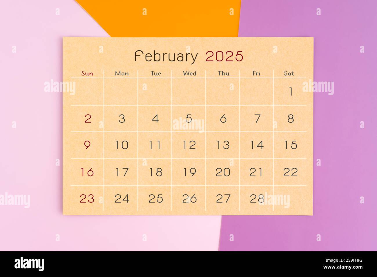 Februar 2025: Braune Kalenderpapierseite auf violettem Hintergrund. Stockfoto