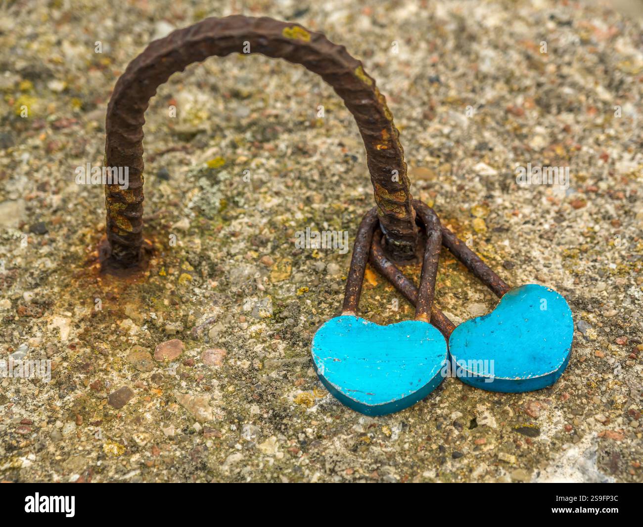 Blaue Vorhängeschlösser in Herzform symbolisieren Einheit und Liebe, gesichert auf einer verwitterten Metallschlaufe. Umgeben von texturiertem Beton, erinnert dies an Themen der Romantik Stockfoto