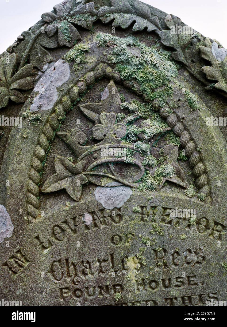 St. Cenydd’s Church, Llangennydd, St. Kenyth’s Church, Flechten auf Kopfstein mit Krone, Efeu. Eichen- und Feigenblätter Stockfoto