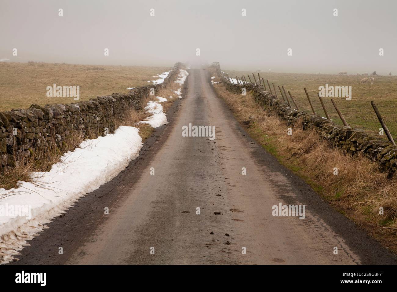 Henside Road in der Nähe von Stainforth in Ribblesdale, im Yorkshire Dales National Park, Großbritannien Stockfoto