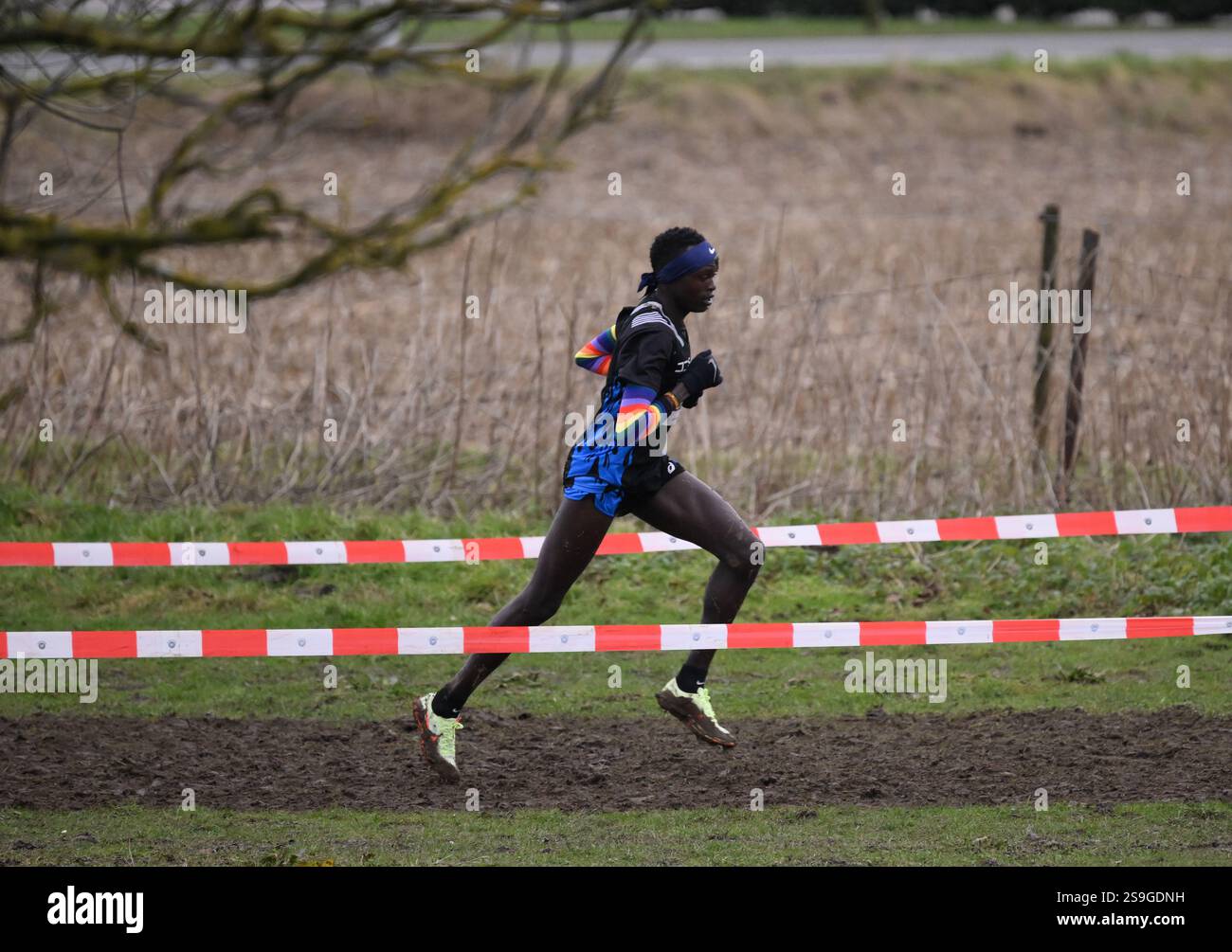 Rogers Kibet wurde während des Herrenrennens beim CrossCup Leichtathletik-Rennen in Hannut am Sonntag, den 26. Januar 2025, der 4/5. Etappe des CrossCup-Wettbewerbs, in Aktion gezeigt. BELGA FOTO JOHN THYS Stockfoto