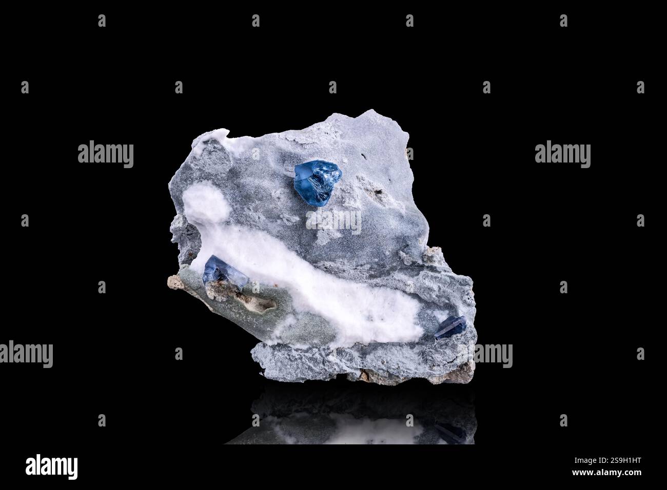 Benitoitblauer Kristall. Exemplar aus der Gem Mine, San Benito Co., Kalifornien, USA. Fotografie isoliert auf schwarzem Hintergrund. Makrodetails Nahaufnahme Stockfoto