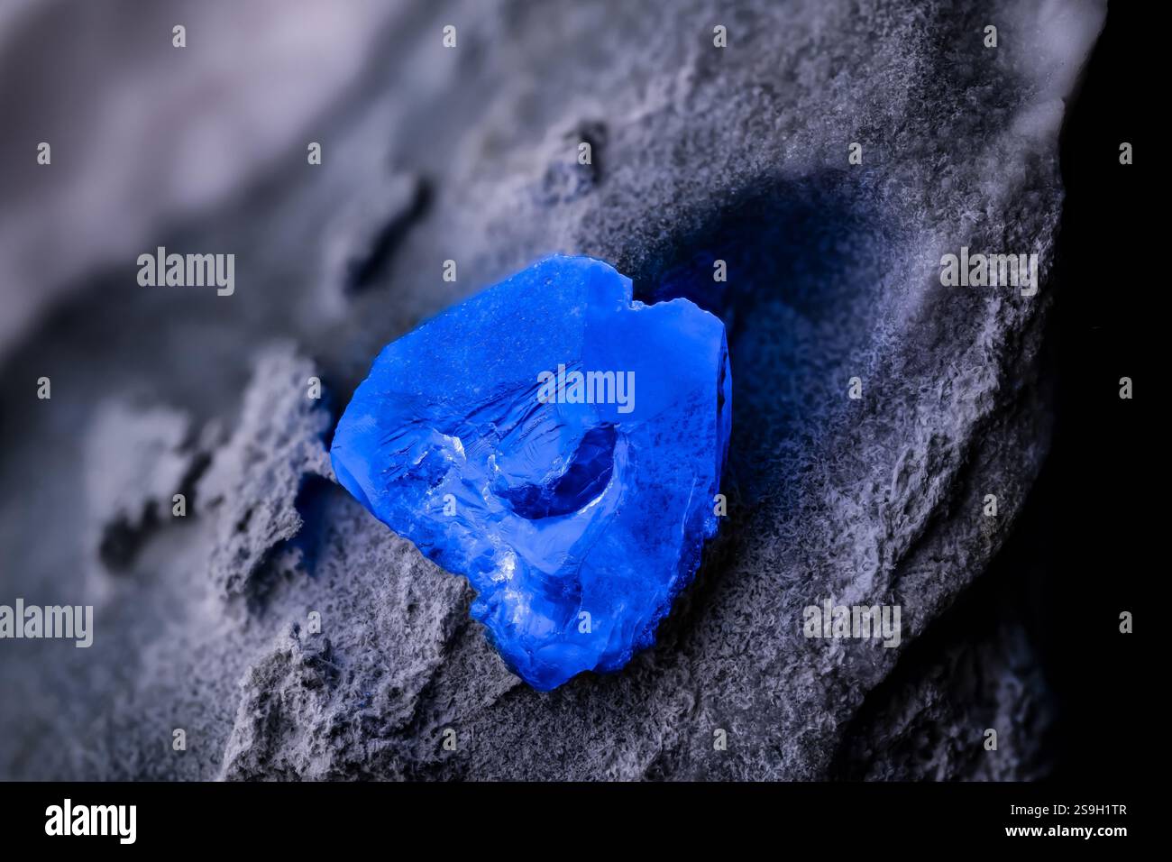 Benitoitblauer Kristall unter langwelliger UV-Strahlung. Exemplar aus der Gem Mine, San Benito Co., Kalifornien, USA. Mikrofotografie extreme Nahaufnahme. Mikroskop Stockfoto