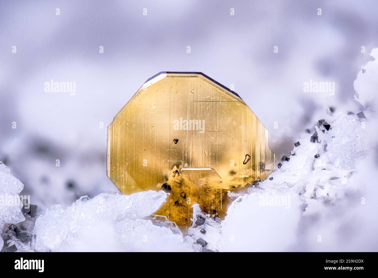 Fayalitkristall auf weißem Cristobalit und schwarzem Magnetit. Probe aus Cougar Butte, Cascade Range, Kalifornien, USA. Mikrofotografie extrem Stockfoto