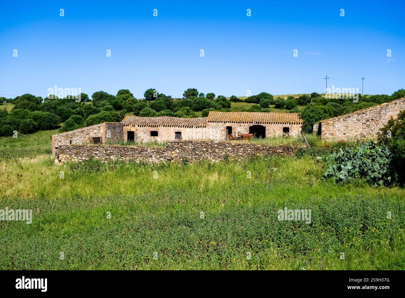 Verlassener Bauernhof in der Nachbarschaft von Laconi, umgeben von grünen Wiesen und Bäumen. Stockfoto