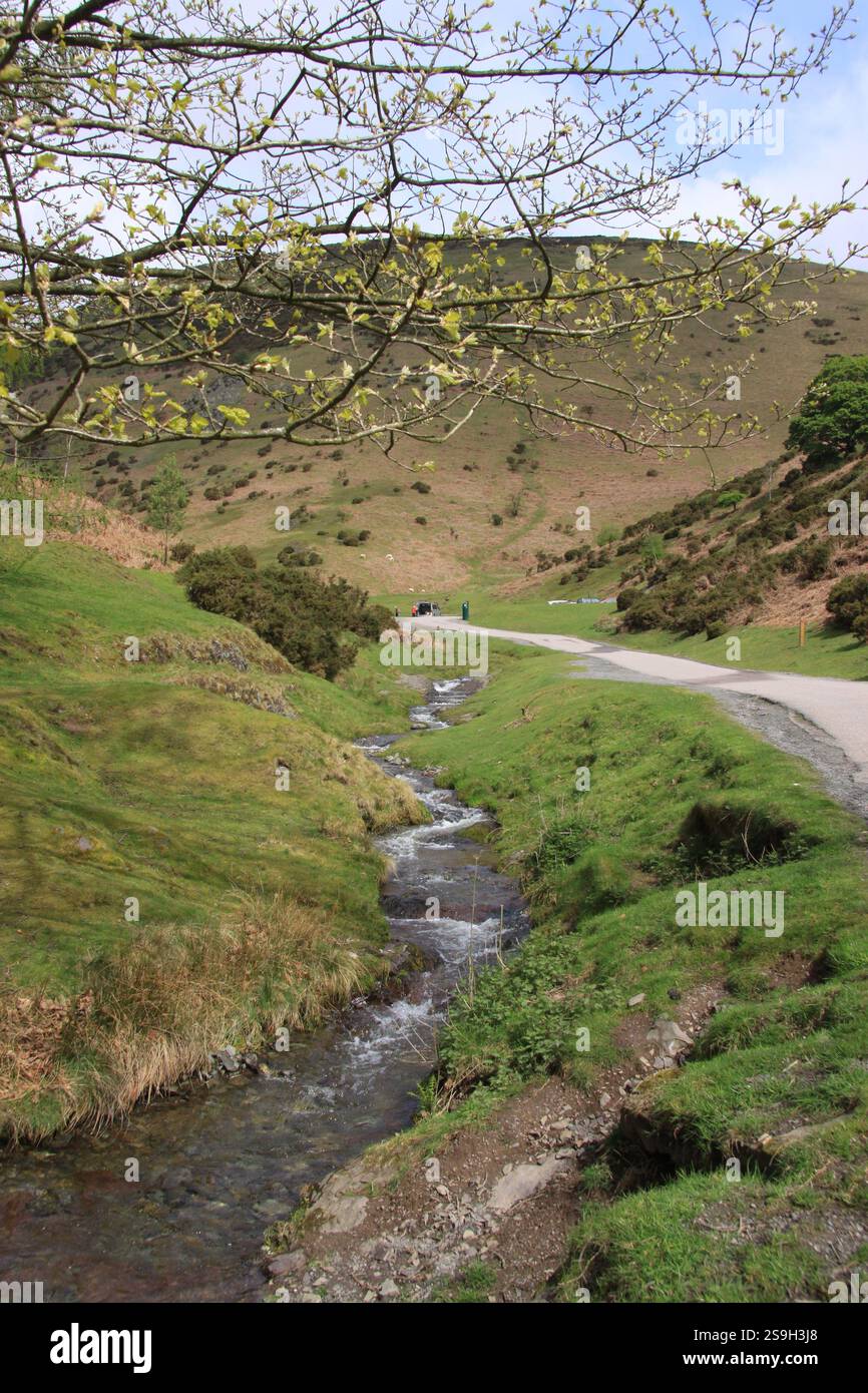 Ein Bach, der durch das Carding Mill Valley am Fuße des Long Mynd in der Landschaft von Shropshire, England Großbritannien, fließt Stockfoto