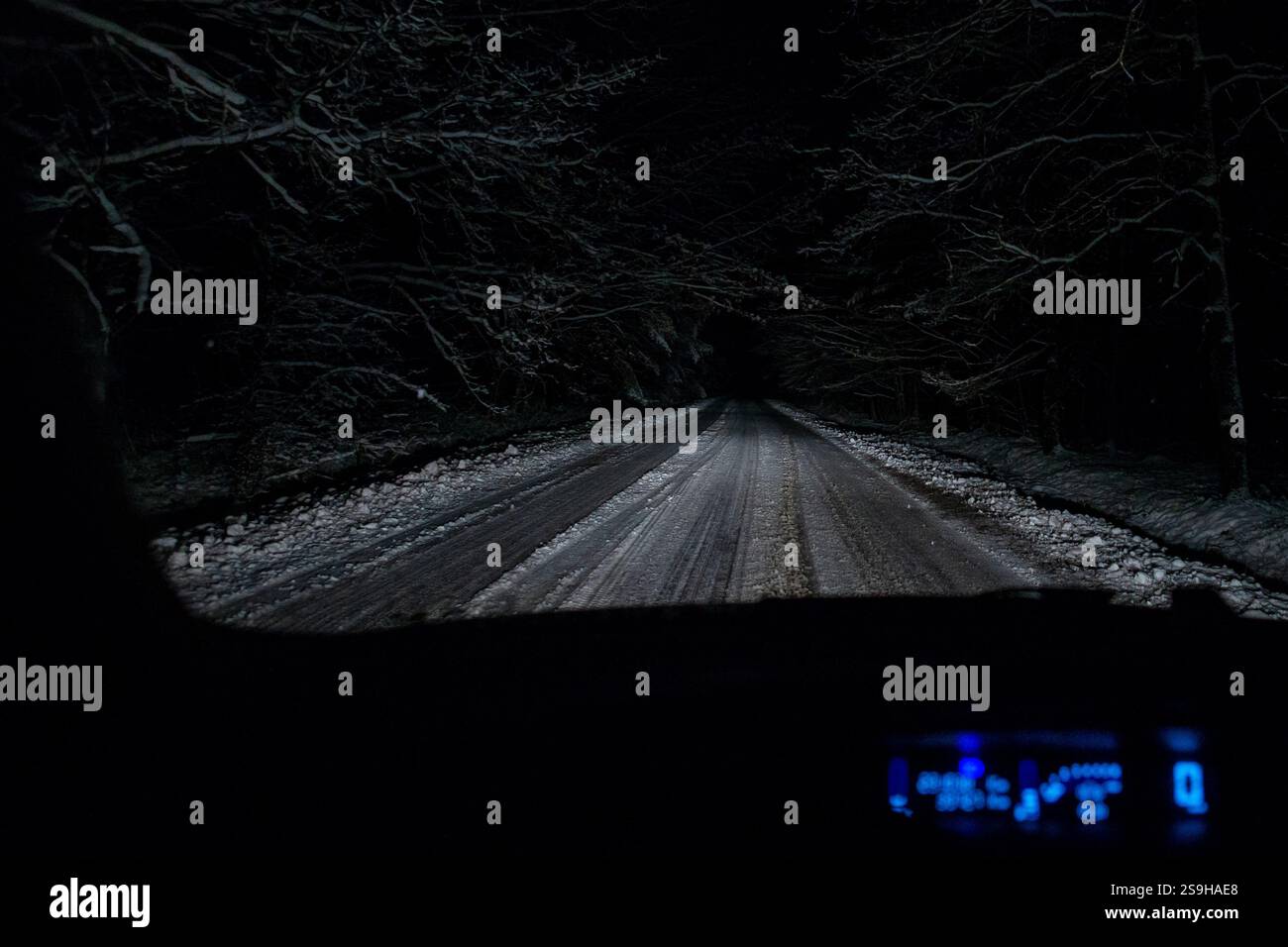 Auto Cockpit Blick auf Nachtwagen, der im Winterwald fährt Stockfoto