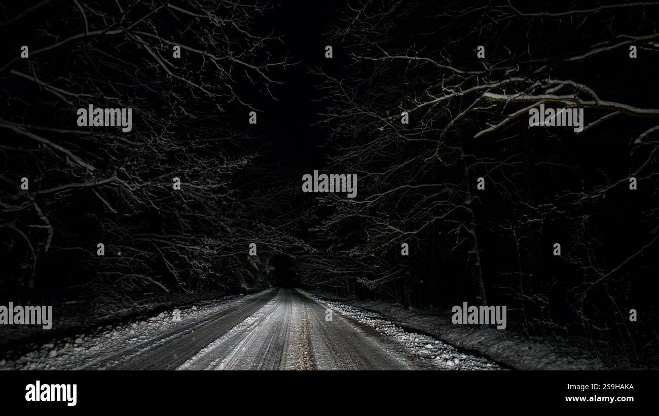 Autolampen von Nachtwagen, die auf verschneiten Waldwegen fahren Stockfoto