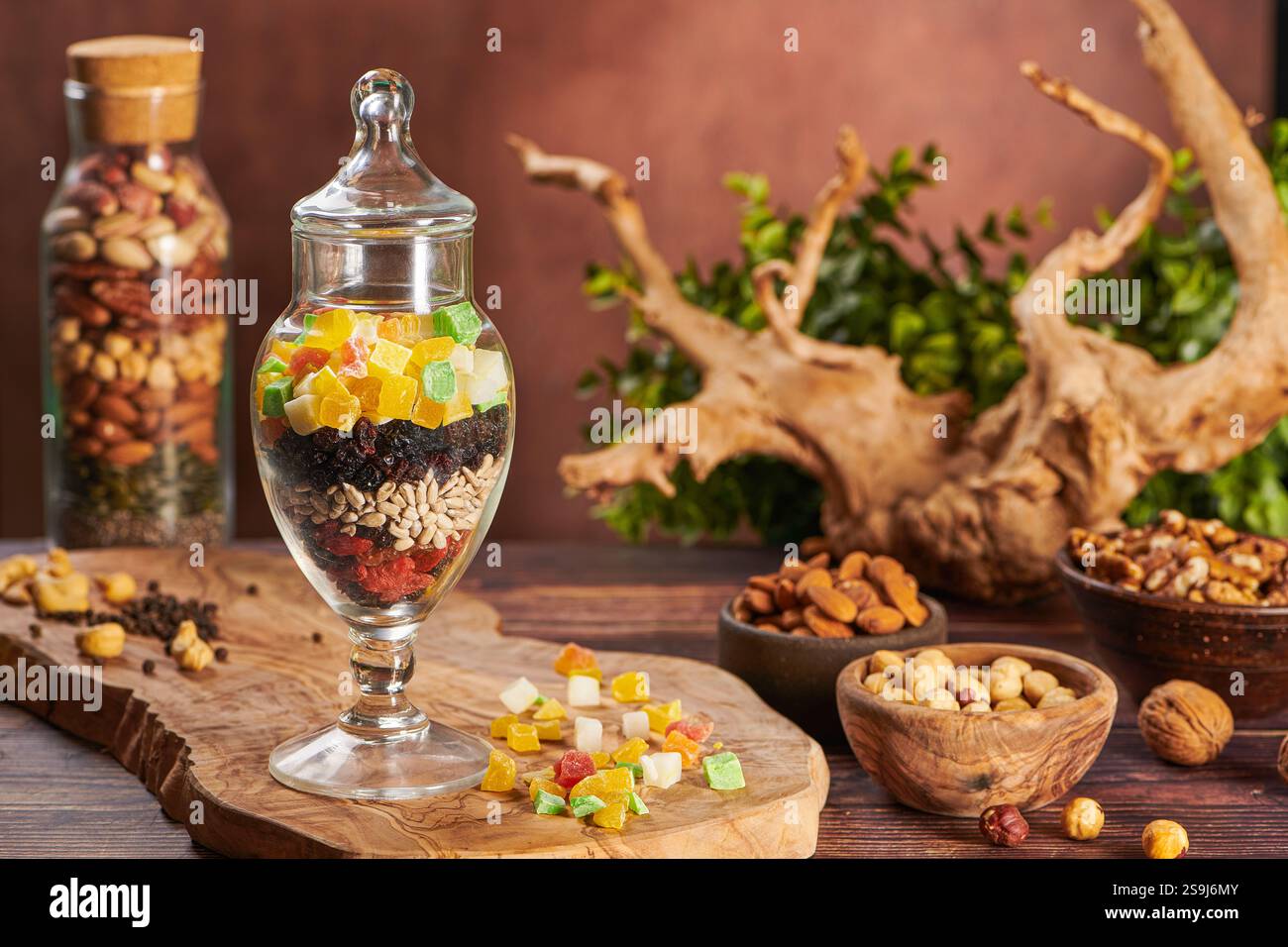 Mischung aus Nüssen und trockenen Früchten in einer wunderschönen Glasvase. Baumverzweigung auf einem Hintergrund. Walnüsse, Erdnüsse, Pekan, Mandeln, Cashewnüsse, Pistazien, Aprikosen, Rais Stockfoto