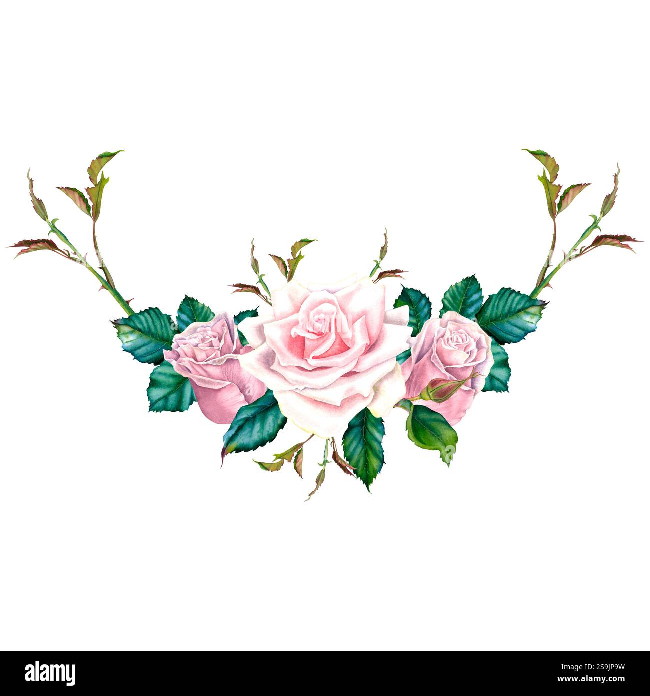 Rosenblume in pastellrosa Farben mit grünen Blättern. Handgezeichnete Blumenillustration für Hochzeitseinladungen oder Grußkarten auf isoliert Stockfoto