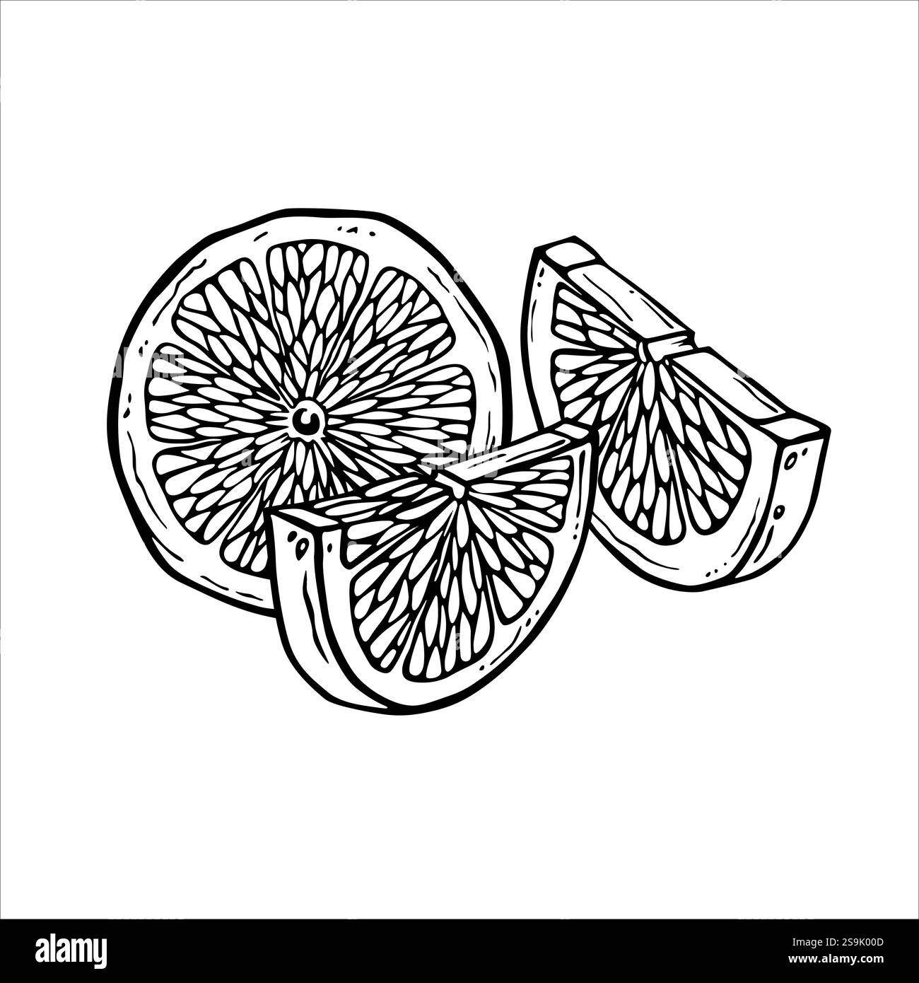Scheiben von Zitronen, Limetten oder anderen Zitrusfrüchten in Schwarz-weiß. Lineare Darstellung der Zusammensetzung tropischer Fruchtkeile. Geschnittenes Zitron in Tintengrafiken Stock Vektor