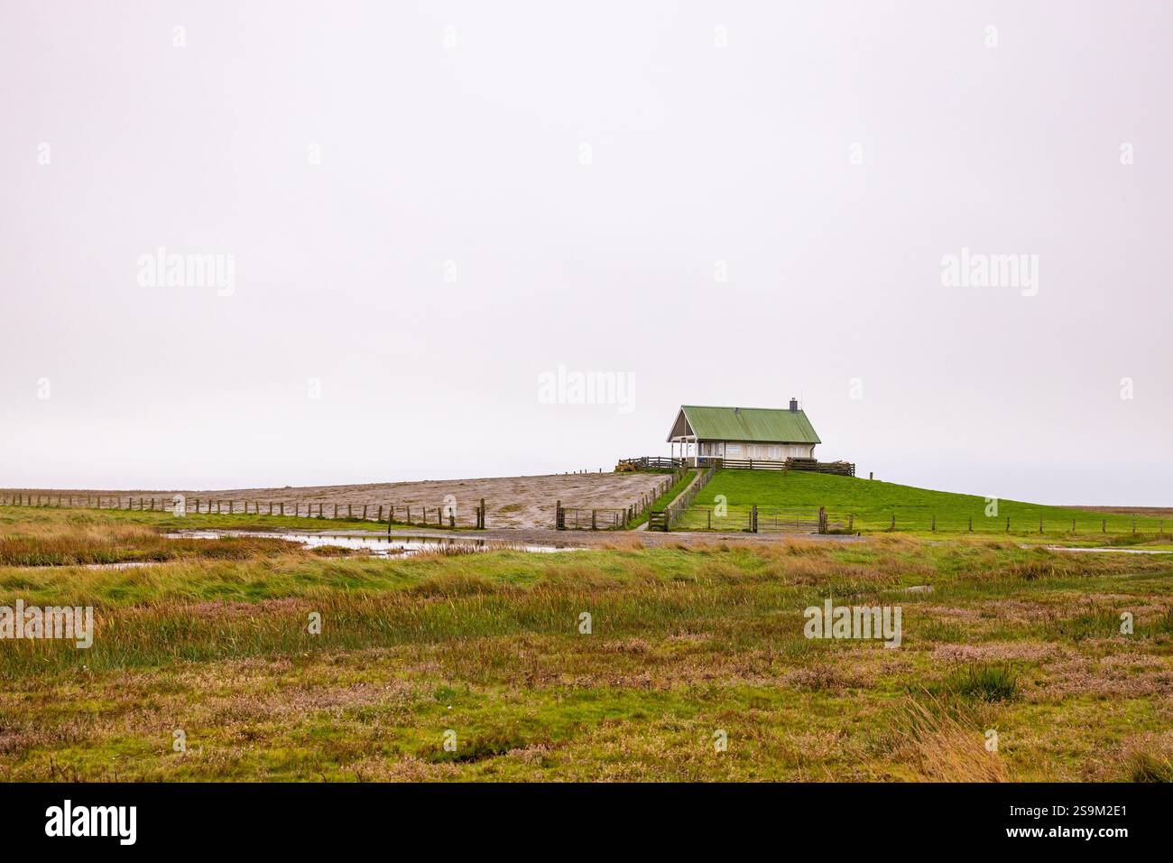 Weg zur Hamburger Hallig Salzwiesen Stockfoto