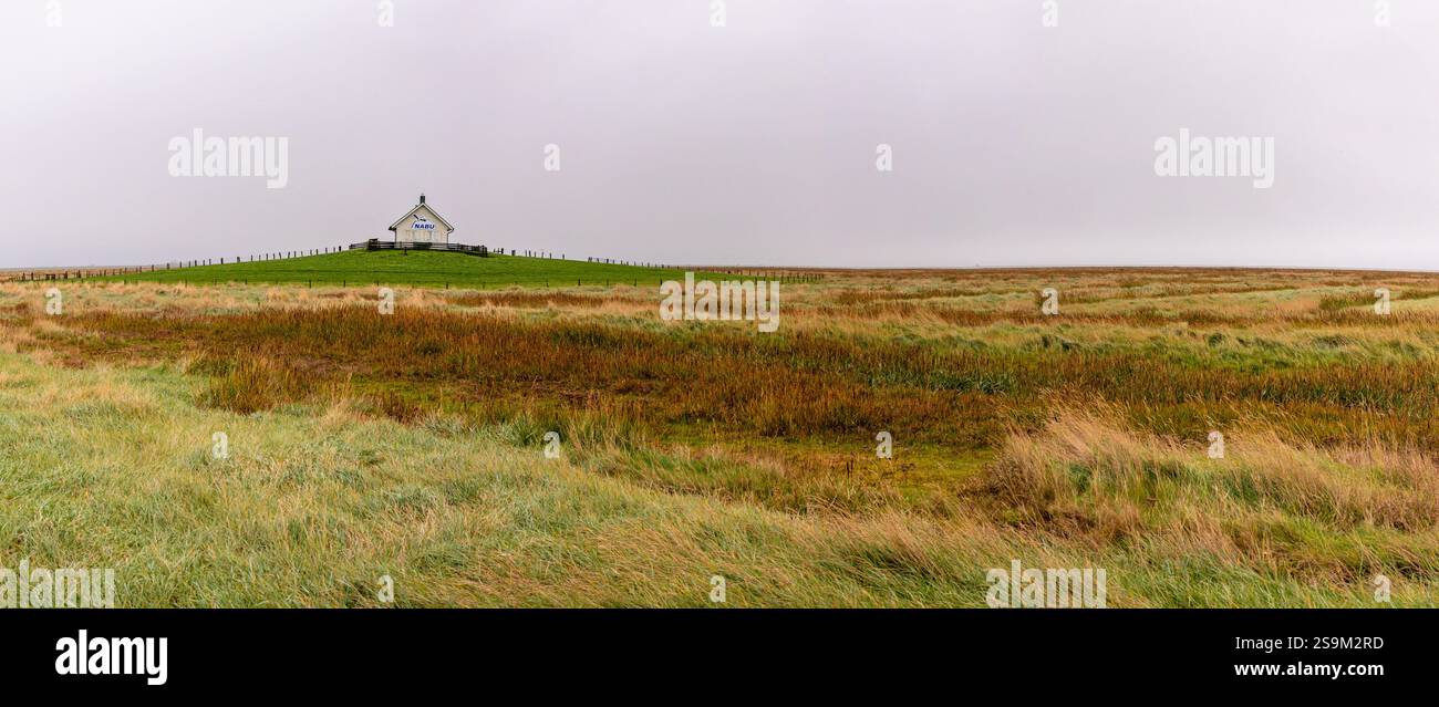 Weg zur Hamburger Hallig Salzwiesen Stockfoto