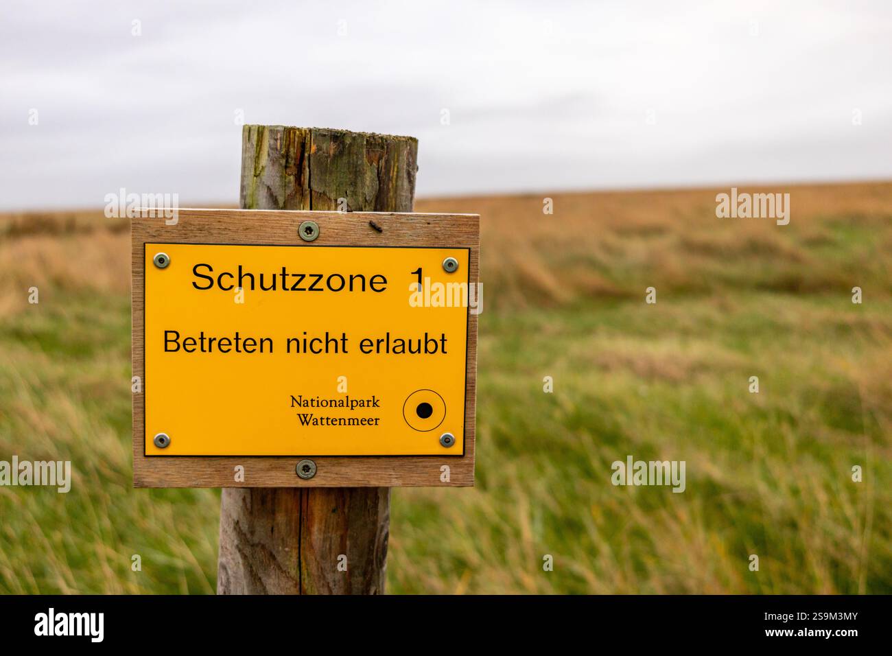 Weg zur Hamburger Hallig Salzwiesen Stockfoto