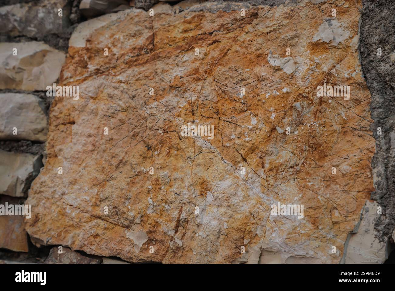 Dieses Felsfragment zeigt fossile Eindrücke und zeigt die geologische Geschichte Albaniens durch seine unterschiedlichen Texturen und Farben. Die explora Stockfoto