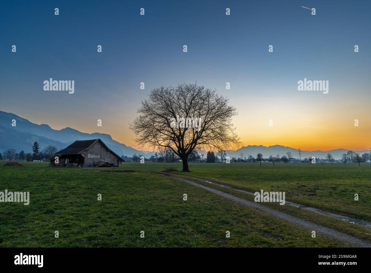 Nachglühpanorama mit Holzscheune auf Wiese, Garten und dominantem Baum unter Sonnenuntergang farbigem Himmel, mit orange, roten Wolken und blauem Himmel, Weide Stockfoto