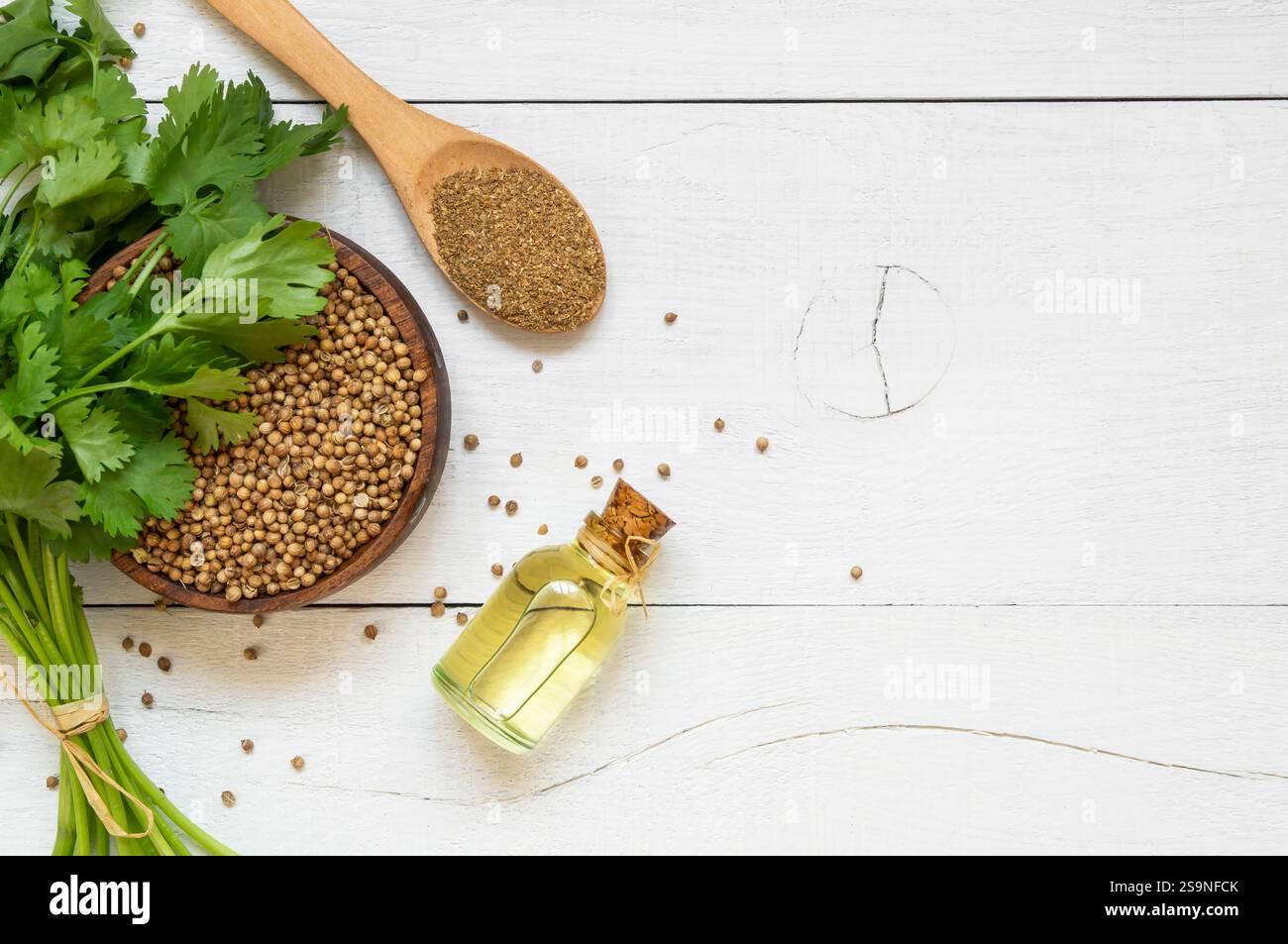 Glasflasche mit ätherischem Korianderöl mit Korianderpulver und frischen Korianderblättern auf rustikalem Tisch, Aromatherapie Massageöl Konzept ( coriandrum Stockfoto