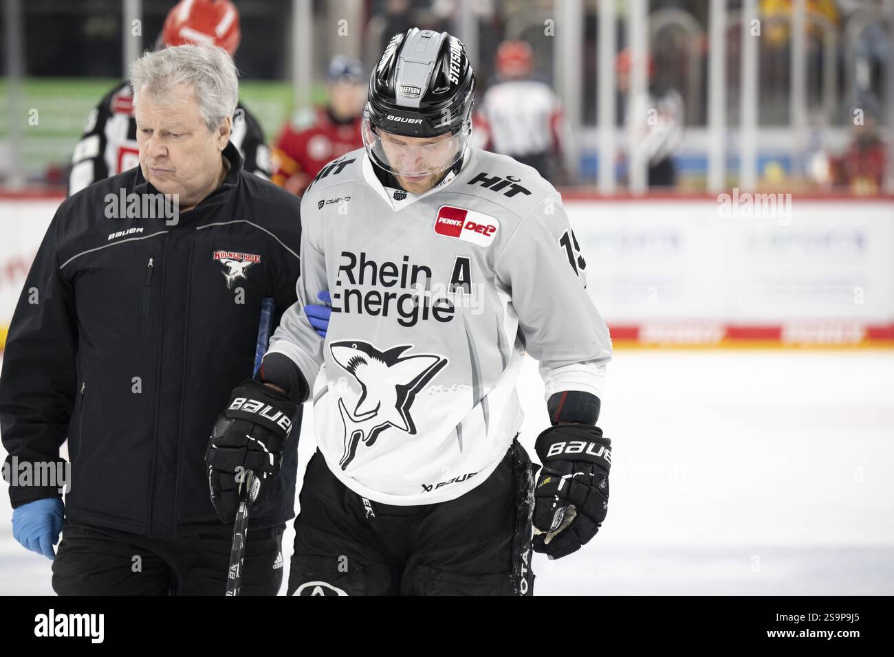 PSD Bank Dome, Düsseldorf, Nordrhein-Westfalen, Frederik Storm (Koelner Haie, #19), PENNY DEL, Duesseldorfer EG- Koelner Haie am 24.01.2025 Stockfoto