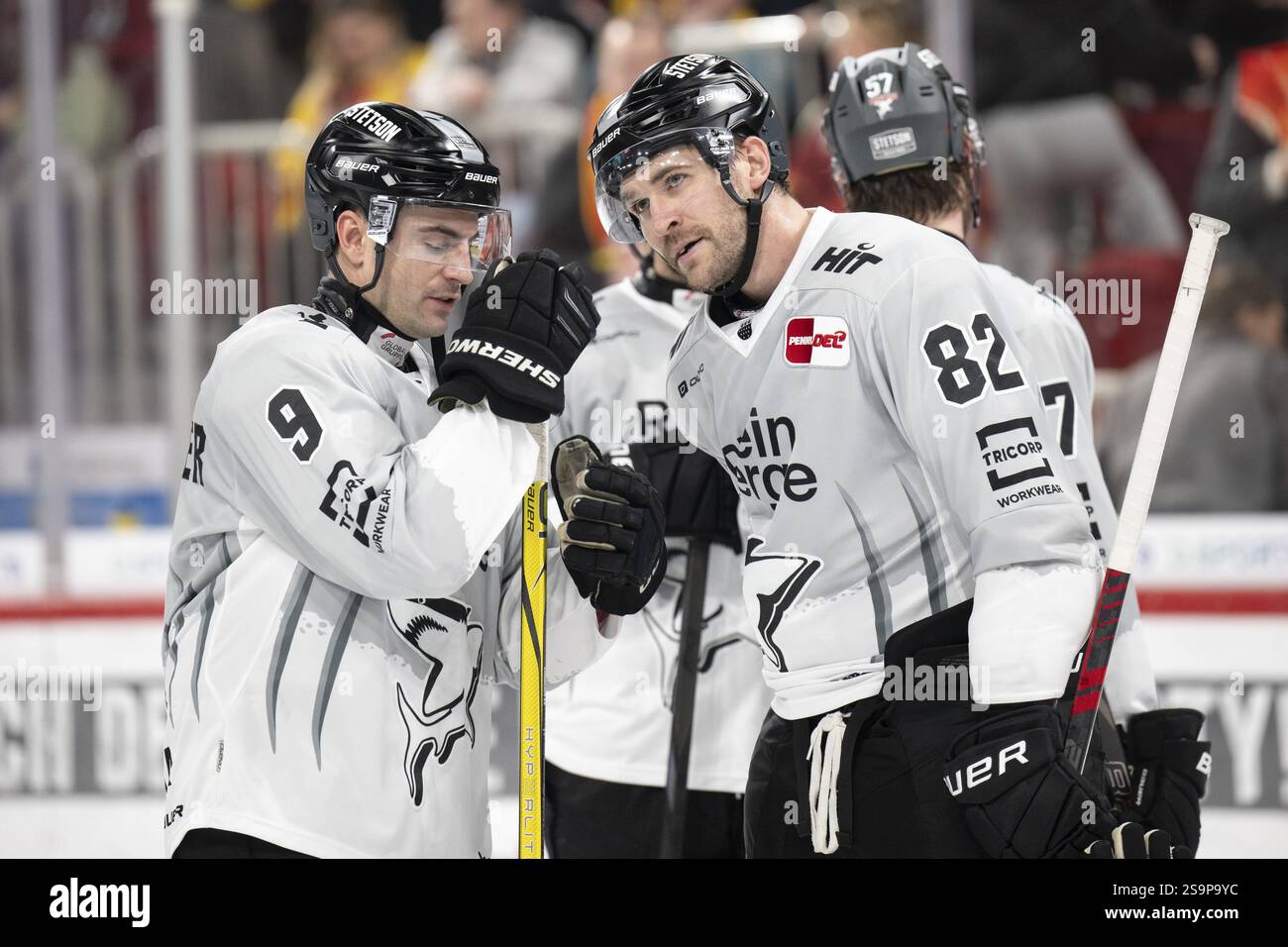 PSD Bank Dome, Düsseldorf, Nordrhein-Westfalen, Alexandre Grenier (Koelner Haie, #82), Maximilian Kammerer (Koelner Haie, #9), PENNY DEL, Duesseld Stockfoto