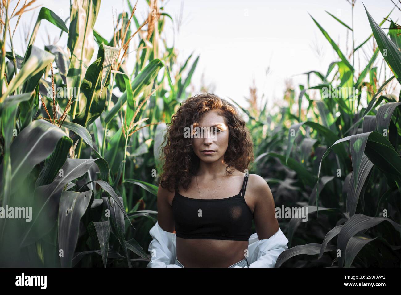 Eine Frau mit lockigem Haar in einem schwarzen Oberteil steht inmitten großer grüner Maispflanzen Stockfoto